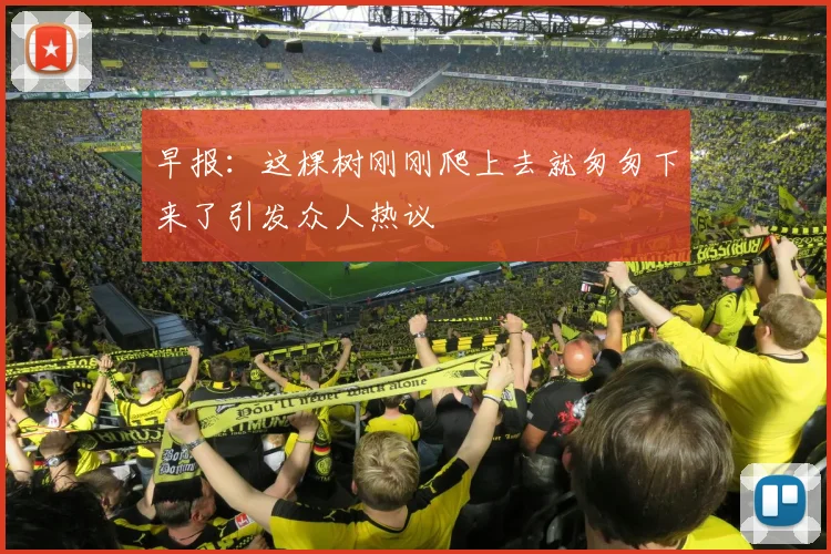 早报：这棵树刚刚爬上去就匆匆下来了引发众人热议