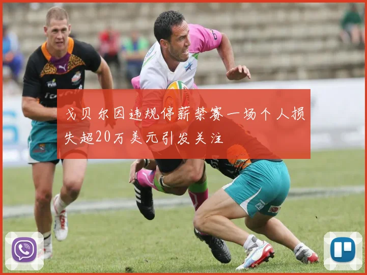 戈贝尔因违规停薪禁赛一场个人损失超20万美元引发关注