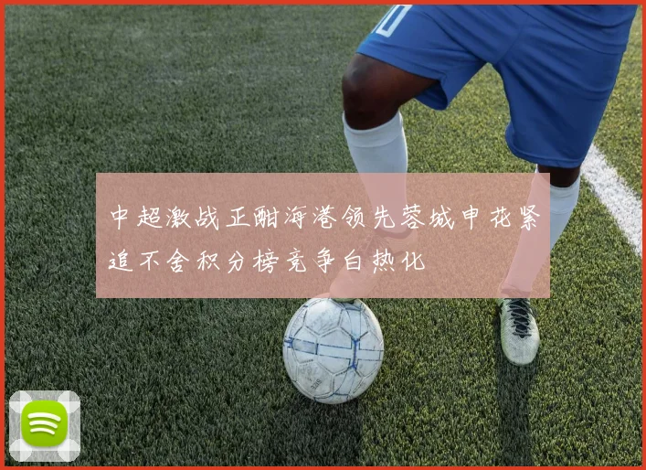 中超激战正酣海港领先蓉城申花紧追不舍积分榜竞争白热化