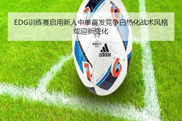 EDG训练赛启用新人中单首发竞争白热化战术风格或迎新变化 - Leyu